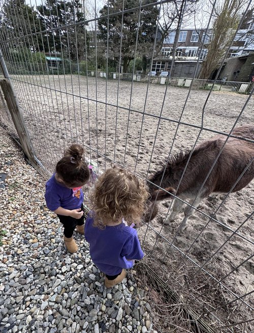 Olive and Scarlett getting familiar with Jeffrey the donkey on the day they left