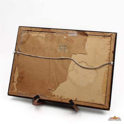 Photograph: 1901-1902 Boys Banjo Orchestra 21698